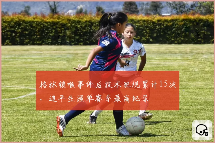 格林锁喉事件后技术犯规累计15次，追平生涯单赛季最高纪录