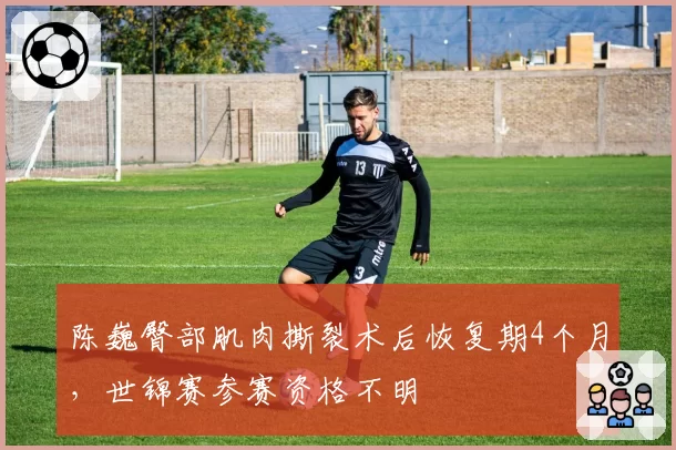 陈巍臀部肌肉撕裂术后恢复期4个月，世锦赛参赛资格不明